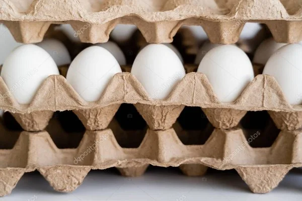 ENVASE PARA HUEVOS(320)
